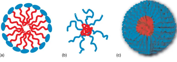 Figure 1. Different types of micelles and micelle analogous structures: (a) small molecule surfactants, (b) star-like polymer, (c) amphiphilic BCP micelle