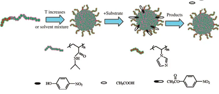 Figure 4. Stimuli-responsive double hydrophilic BCP micelles with switchable catalytic activity