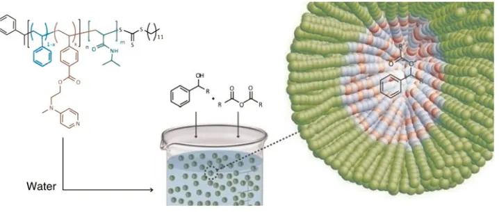Figure 5. DMAP nanoreactor for efﬁcient catalysis of hydrophobic substrates in water. Reproduced with permission from Ref