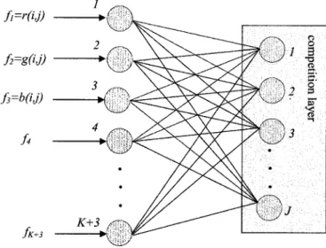 Figure 1. The SOFM neural network.
