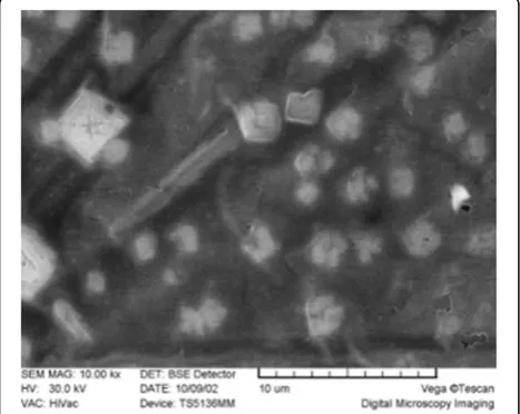 Fig. 7 Particle size distribution of structures generated in acetone
