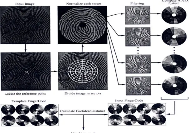 Fig. 4:  Representation of steps involved in Fingerprint matching