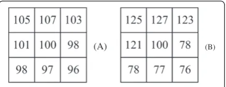 Figure 3 Two different regions. Two regions have differenttexture characters. (A) is relatively flat, while (B) is relatively rough.The LBPriu28;1 values of (A) and (B) are 4, while the LBPriu2;208;1value of(A) and (B) is 0 and 8, respectively.