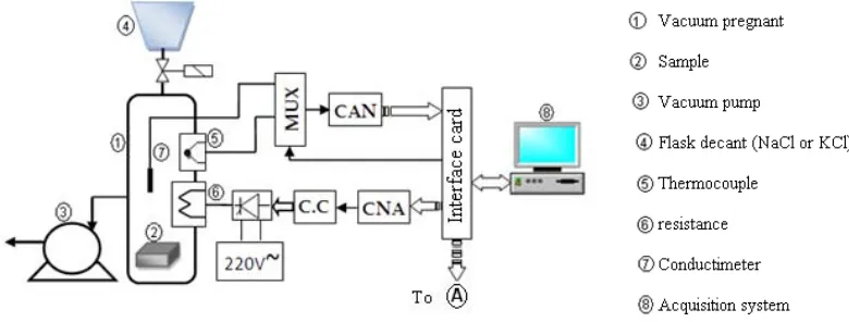 Figure 1: Illustration of the vacuum impregnation of the sample  