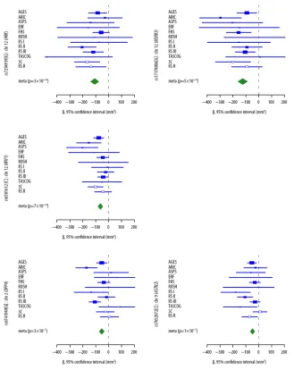 Figure 3. Forest plots for hippocampal volume SNP associationsPlots show the study-specific association estimates (β) and 95% confidence intervals for thediscovery and replication stage studies, presented as rectangles and bars