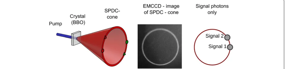 Fig. 1 Scheme of the emitted light cone in type I SPDC: The entangled signal (side of the figure)