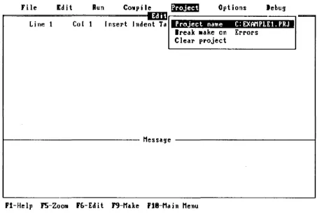 Figure 2.8: The Project Menu 