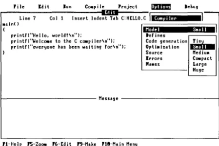 Figure 2.12: The Ole/Model Menu 