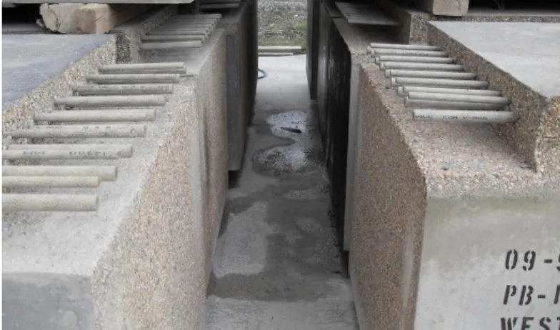 Fig. 9. Box girders end showing GFRP reinforcing and exposed aggregate roughening 