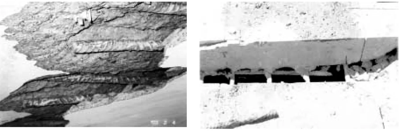 Figure 8:  Dual T44 Test – Through - Thickness Shear Failure Surface