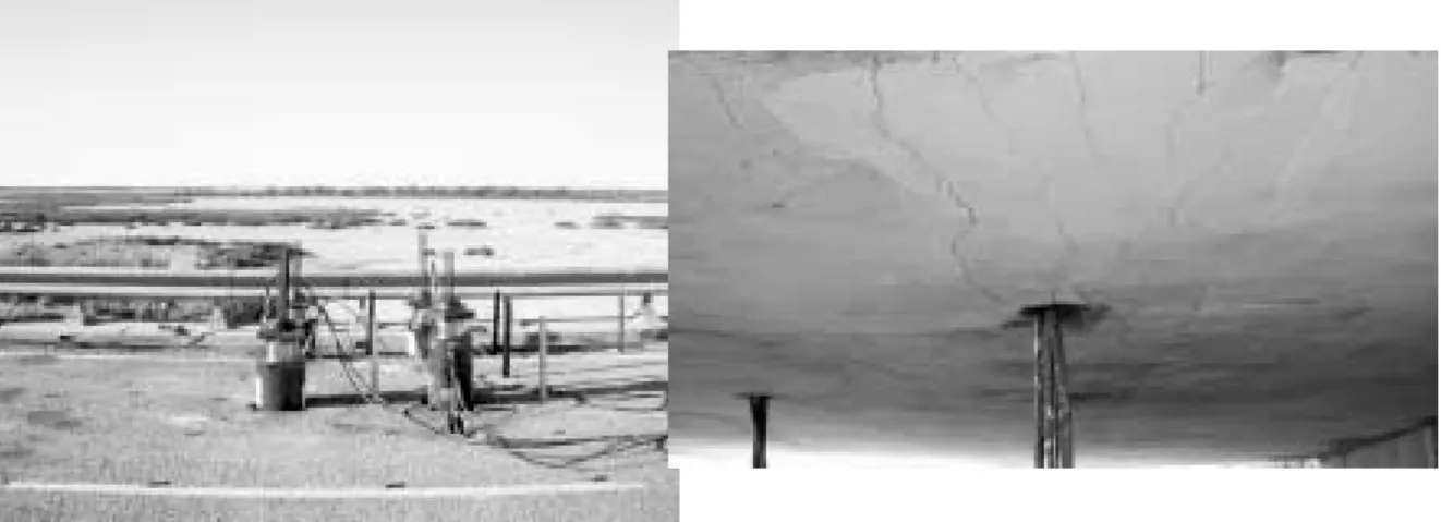 Figure 5:  Single T44 Test Setup and Ultimate Flexural Cracks on the Soffit