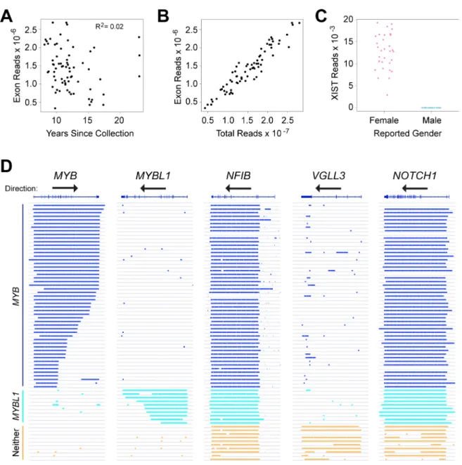 Figure 1: RNA-seq identifies distinct subgroups of ACC tumor samples. (A) Plot of years since samples were collected vs