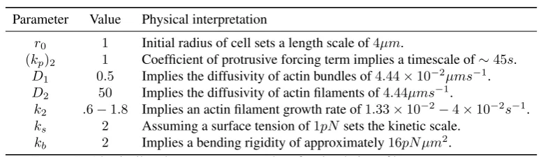 Figure 11 shows plots of the speed of the cell centroids and the aspect ratio of the cells both against time.We clearly see the positive relationship between aspect ratio and cell speed evident in the experimental