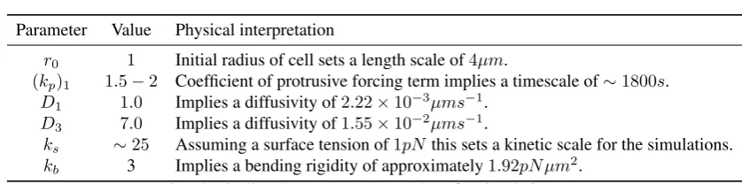 TABLE 2. Physically relevant parameter values for simulations on curves.