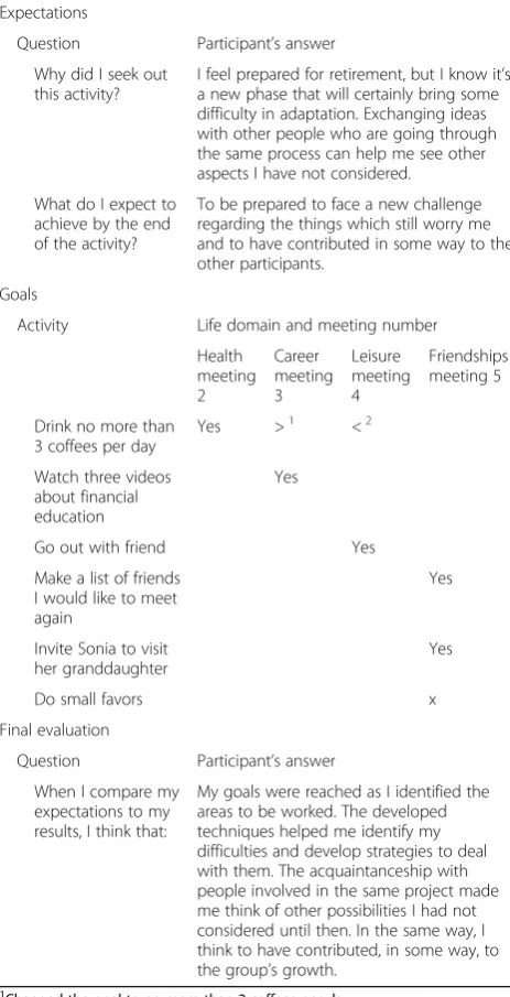Table 6 Expectations, goals, and evaluations of participant 3