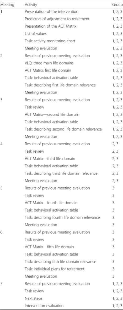 Table 1 Content of the meetings