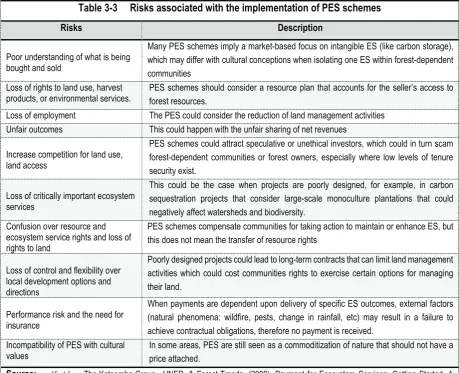 Table 3-3     Risks associated with the implementation of PES schemes