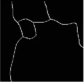 Figure 5 shows the results of performing this segmentation method on the example image in Figure 3