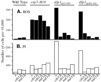 Fig. 7. Deletion of any of the checkpoint-Rad genes leads, in the presence of HU, to elevated levels of ROS and PI staining
