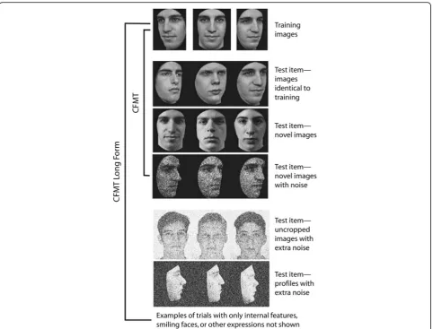 Fig. 3 Example stimuli and the structure of the long-form Cambridge Face Memory Test (CFMT+; from Russell et al., 2009)