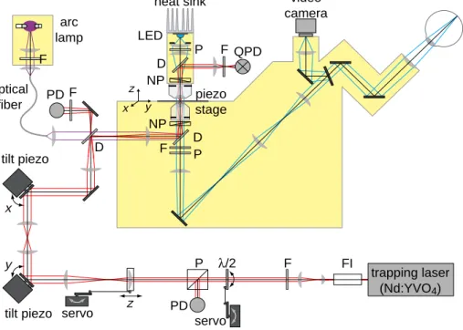 Figure 3.2: Schematic drawing of the optical tweezers setup. All the optical components are shown