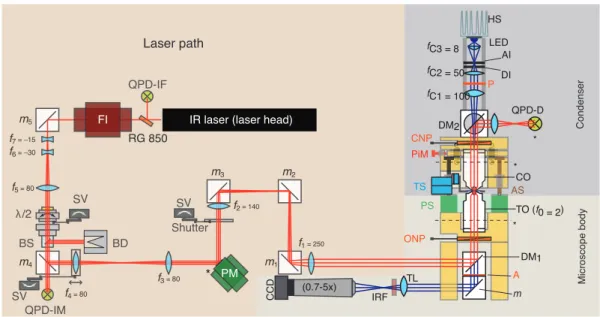 Figure 3.3: The schematic drawing of optical tweezers setup. All the optical components are shown
