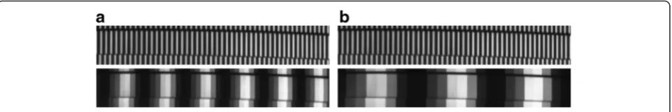 Fig. 10 Reconstructed 3D results at frequency ratios of (a) 1:1, and (b) 1:2