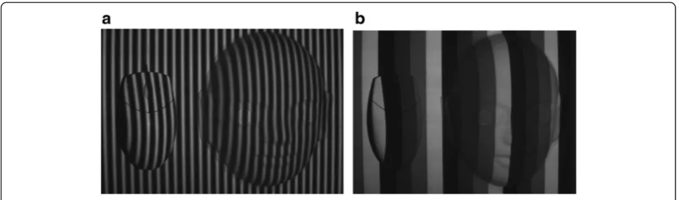 Fig. 13 Fringe patterns: (a) sinusoidal, and (b) phase-coding fringes, n = 2, p = 64, N = 4, S = 4