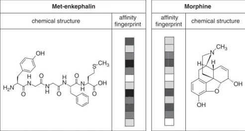 Figure 1.4. Chemical structures and afﬁnity ﬁngerprints for met-enkephalin and morphine