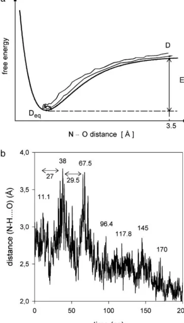 Fig. 1. (a) Scheme of hydrogen bond rupture process. In our MD simulation, we calculate the NOO distance change starting from its dissociated position D, which is defined for the upper limit of the hydrogen bond length