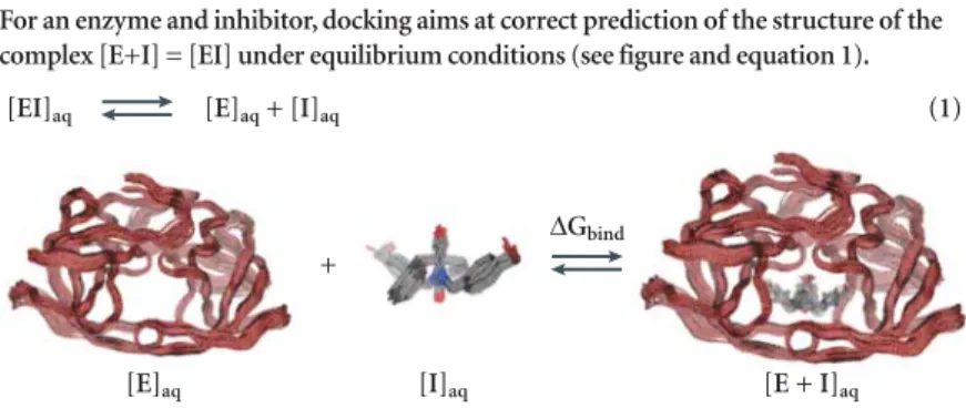 FIG. 2 illustrates the electrostatic potential of a bound inhibitor mapped on its molecular surface.