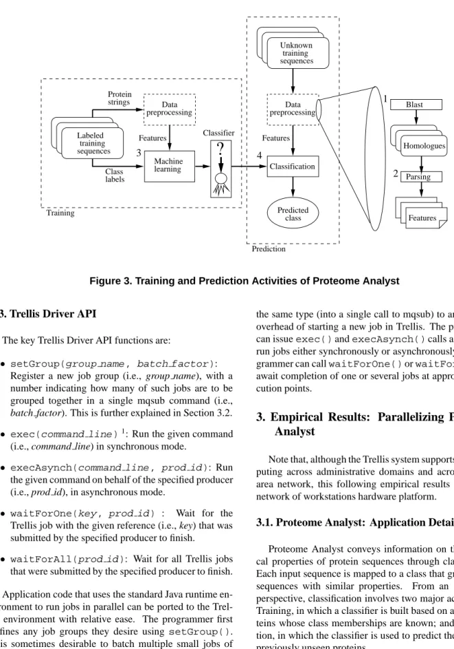 Figure 3. Training and Prediction Activities of Proteome Analyst