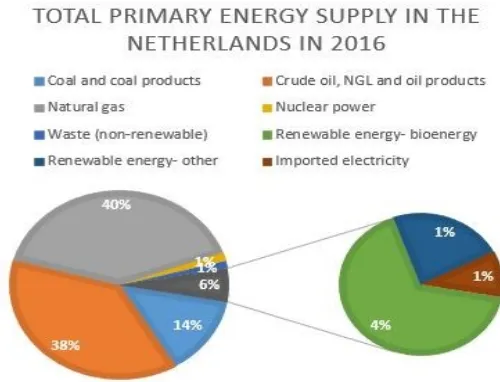 Figure 1 Total primary energy supply in the Netherlands in 2016 (IEA, 2018)