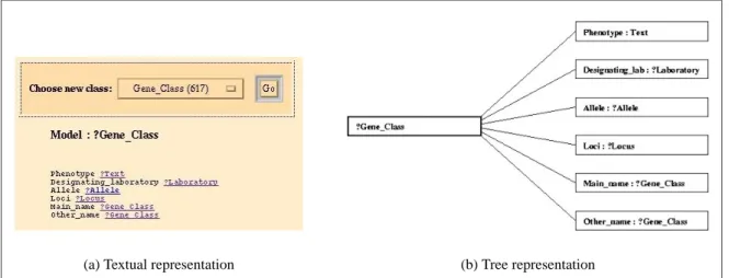 Figure 5: An ACEDB object (of the class “Gene Class”) from the database ACeDB [35]