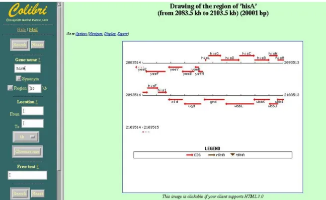 Figure 9: Browser of Colibri [76]
