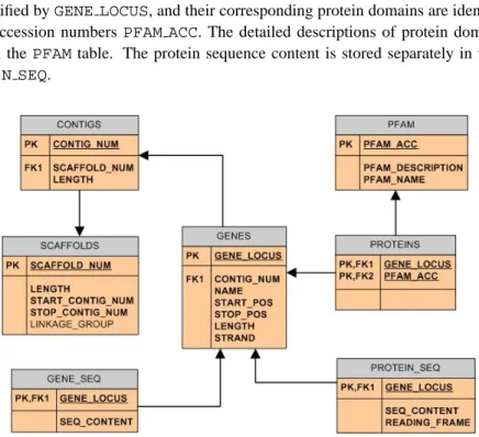Figure 1. Data model for the case study