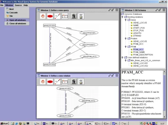 Figure 4. Formulating a View and a Query