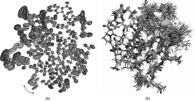 Figure 14.1. The different types of model generated by X-ray crystallography and NMR spec- spec-troscopy