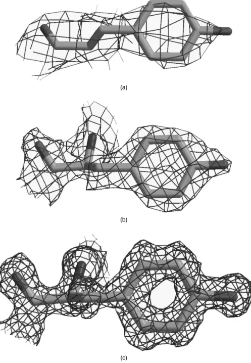 Figure 14.5. The effect of resolution on the quality of the electron density. The three plots show the electron density, as the green wire-frame cage, surrounding a single tyrosine residue.