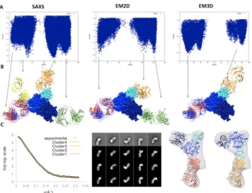 Fig. 3.  Modeling of the PCSK9 – J16 Fab complex. A) Scoring funnels as  a  function  of  L-RMSD  for  different  experimental  filters