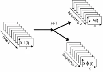 Figure 2.6: Schematic representation of the image processing of frequency domain analysis [39].