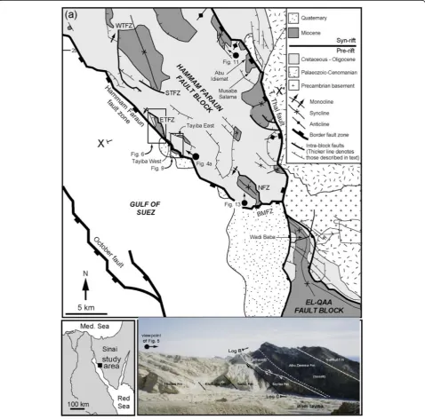 Fig. 1 Photograph stratigraphic correlation through the Wadi Tayiba. Modified from Jackson et al