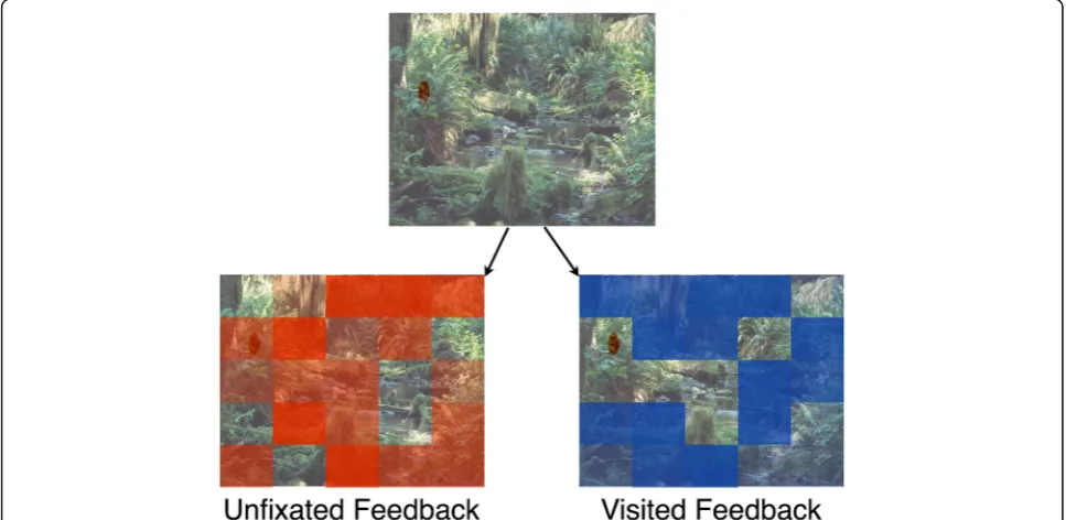Fig. 1 Schematic representation of feedback systems employed in Experiments 1–3. The red target has been made larger and easier to detect fordisplay purposes