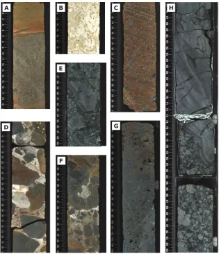 Figure 3. Lithological variation displayed in core images. [A] Monolithic bioturbated brown Figure 3[D] Multicolor basalt conglomerate emplaced under hemipelagic conditions at Site U1375 (interval 330-U1375A-2R-1, 1–41 cm) with inter-pebble spaces composed