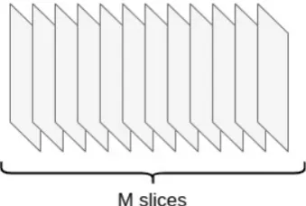 Figure 2.4 Discretization of sample into M slices.