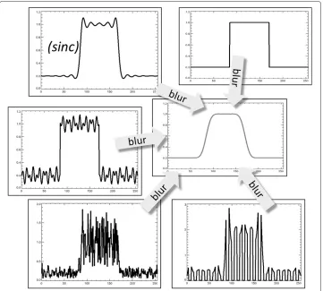 Figure 2 Different solutions to the deconvolution problem. All these profiles produce the same blurredblock profile after Gaussian smoothing