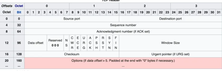 Figure 3.4: TCP header data