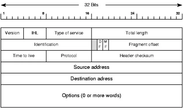 Figure 3.5: IP header data