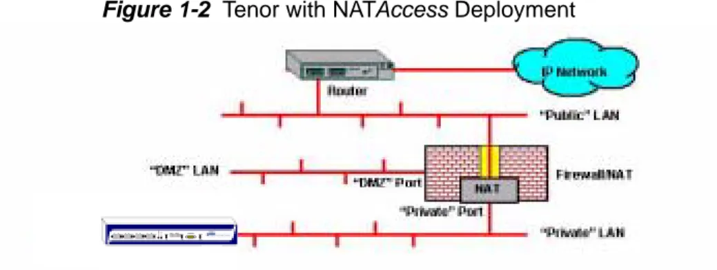 Figure 1-2  Tenor with NATAccess Deployment