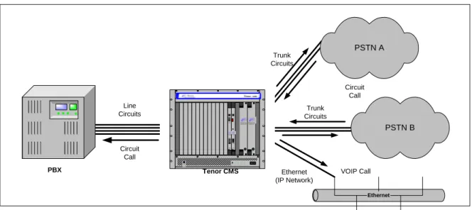 Figure 1-4 Intra-Trunk Routing